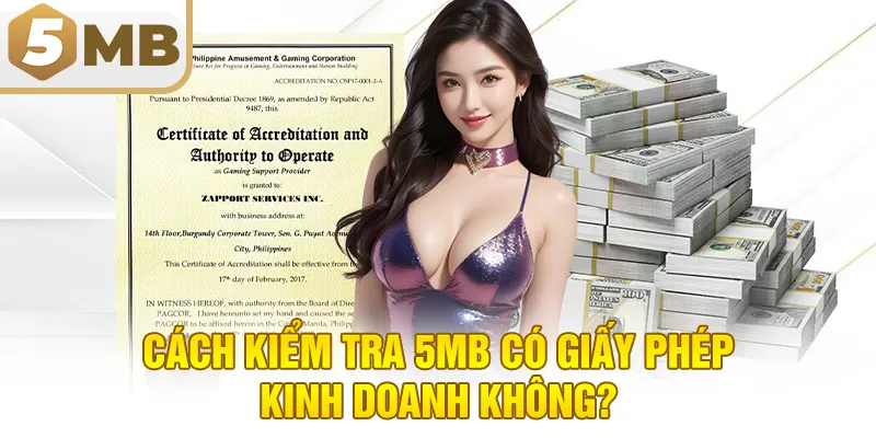 Cách kiểm tra 5MB có giấy phép kinh doanh không?