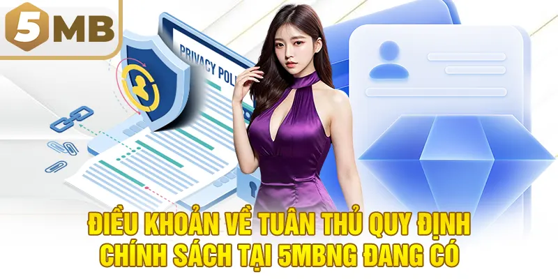 Điều khoản về tuân thủ quy định chính sách tại 5MB